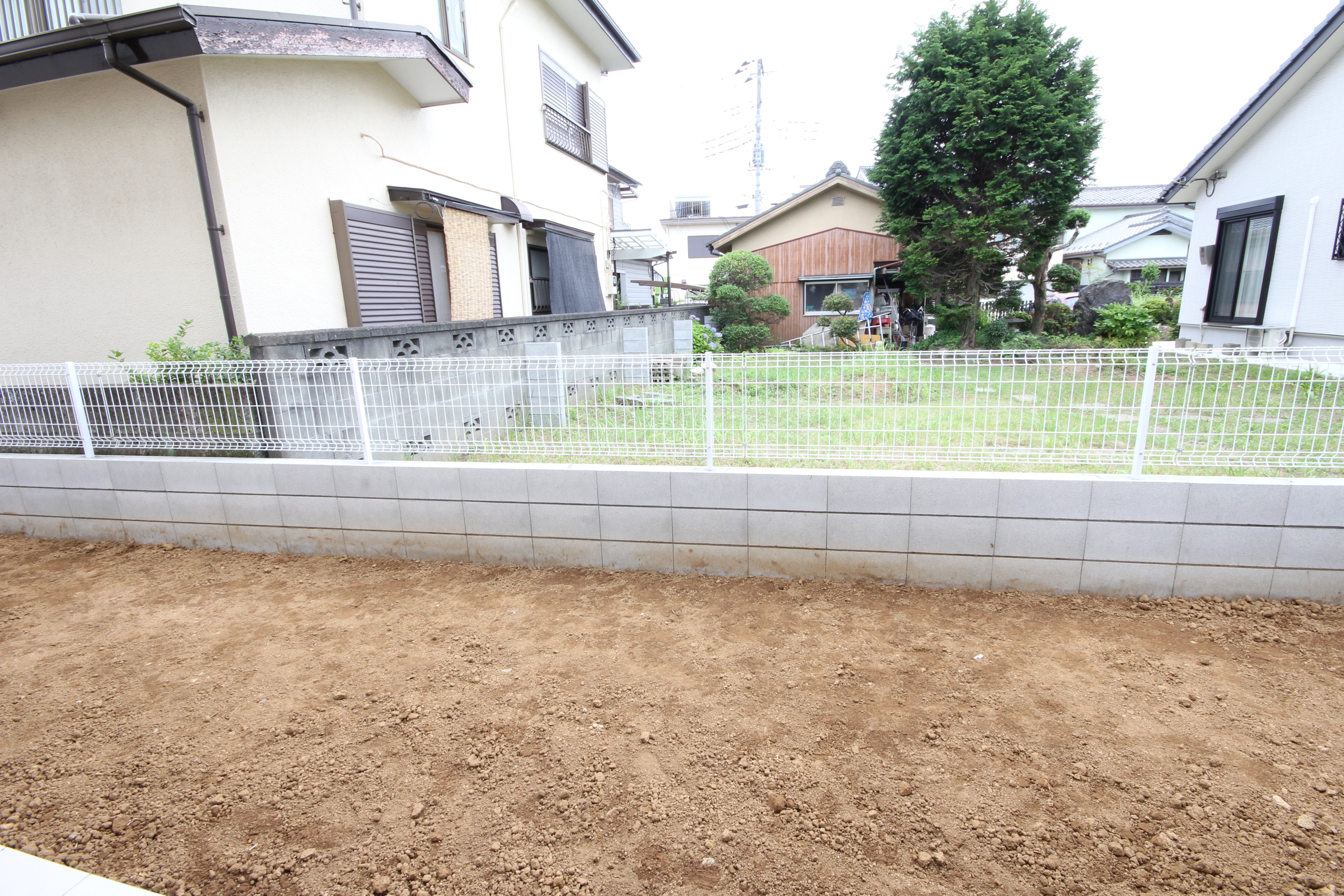 low_bg6